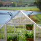 Invernadero Balance™ 14,7m² estructura plateada y paneles híbridos - Canopia by Palram