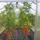 Invernadero de jardín de 3,3m² en aluminio y policarbonato de 6mm Sanus UP! L3 – Gampre