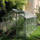 Invernadero de jardín de policarbonato 4mm Hobby H6/3,5 - 197x349 cm - Limes