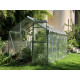 Invernadero de jardín de policarbonato 4mm Hobby H6/6,5 - 197x644 cm - Limes