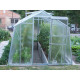 Invernadero de jardín de policarbonato 4mm Hobby H7/6 - 248x595 cm - Limes