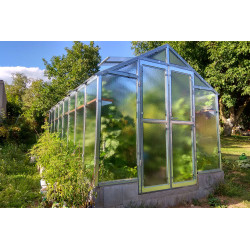 Invernadero de jardín de vidrio difusor 4mm Variant J5 - 249x505 cm - Limes