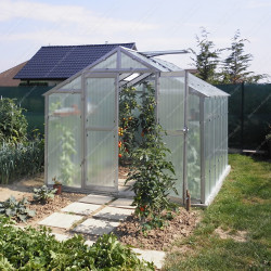 Invernadero de jardín de policarbonato de 8 mm Variant J6 - 249x605 cm - Limes