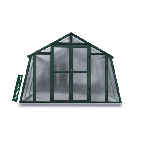 verde musgo RAL 6005