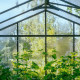 Invernadero de jardín Orangerie 70m² en aluminio y paneles de vidrio templado - BloomCabin