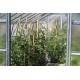 Invernadero de jardín de vidrio difusor 4mm Variant L4,5 - 303x452 cm - Limes
