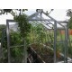 Invernadero de jardín de vidrio difusor 4mm Variant L4,5 - 303x452 cm - Limes