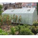 Invernadero de jardín de policarbonato de 8 mm Variant L6 - 303x601cm - Limes