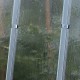 Invernadero de jardín de policarbonato 8mm Primus J4,5 - 249x456 cm - Limes