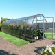 Invernadero de jardín Slim de 200 x 800cm de acero galvanizado y paneles de policarbonato de 4mm - Klasika
