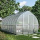 Invernadero de jardín de aluminio y policarbonato Bella™ de 11,76 m² – Palram